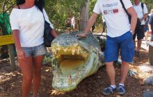 Zdjęcia z wyjazdu do Australii 2013