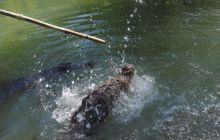 Zdjęcia z wyjazdu do Australii 2013