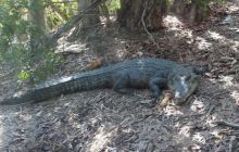 Zdjęcia z wyjazdu do Australii 2013