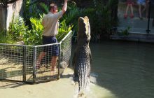 Zdjęcia z wyjazdu do Australii 2013