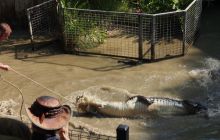 Zdjęcia z wyjazdu do Australii 2013