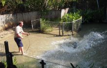 Zdjęcia z wyjazdu do Australii 2013