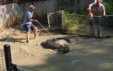 Zdjęcia z wyjazdu do Australii 2013