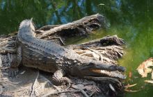 Zdjęcia z wyjazdu do Australii 2013