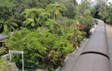 Zdjęcia z wyjazdu do Australii 2013