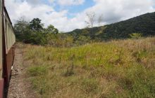 Zdjęcia z wyjazdu do Australii 2013