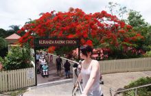 Zdjęcia z wyjazdu do Australii 2013