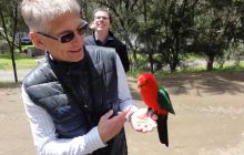 Zdjęcia z wyjazdu do Australii 2013