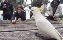 Zdjęcia z wyjazdu do Australii 2013