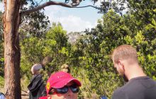 Zdjęcia z wyjazdu do Australii 2013