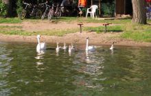 2007.07.15 Kurs Rescue