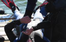 2007.07.15 Kurs Rescue