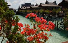 Foto Relacja z Sipadanu