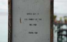 Foto Relacja z Sipadanu