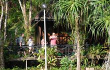 Foto Relacja z Sipadanu