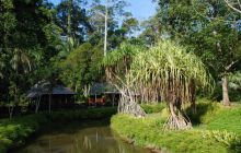 Foto Relacja z Sipadanu