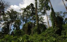 Foto Relacja z Sipadanu