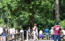 Foto Relacja z Sipadanu