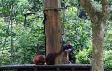 Foto Relacja z Sipadanu