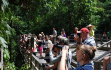 Foto Relacja z Sipadanu