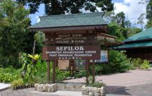 Foto Relacja z Sipadanu