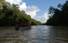 Foto Relacja z Sipadanu