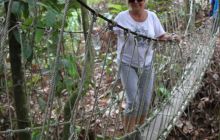 Foto Relacja z Sipadanu