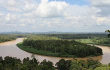 Foto Relacja z Sipadanu