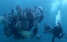 Foto Relacja z Sipadanu