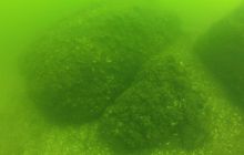 Foto Relacja z Thomsdorf