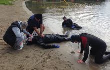 Zdjęcia z kursu Stress&Rescue