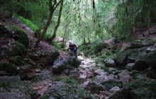 Fotorelacja z Francji