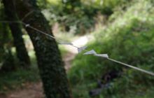 Fotorelacja z Francji