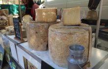 Fotorelacja z Francji