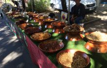 Fotorelacja z Francji