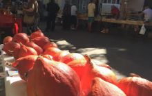 Fotorelacja z Francji