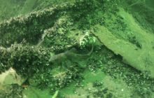 Zdjecia z wyjazdu wrakowego do Kołobrzegu