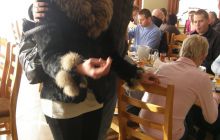 Zakończnie Sezonu - Listopad 2007