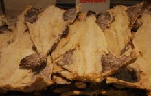 Foto Relacja z wyjazdu na Azory