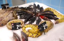 Foto Relacja z wyjazdu na Azory