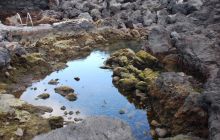 Foto Relacja z wyjazdu na Azory