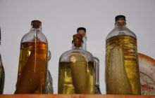 Foto Relacja z wyjazdu na Azory