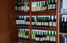 Foto Relacja z wyjazdu na Azory