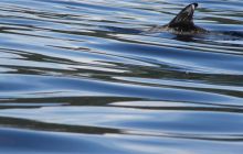 Foto Relacja z wyjazdu na Azory