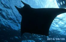 Foto Relacja z wyjazdu na Azory