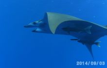 Foto Relacja z wyjazdu na Azory