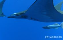 Foto Relacja z wyjazdu na Azory