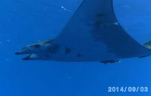 Foto Relacja z wyjazdu na Azory