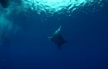 Foto Relacja z wyjazdu na Azory