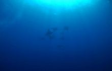 Foto Relacja z wyjazdu na Azory